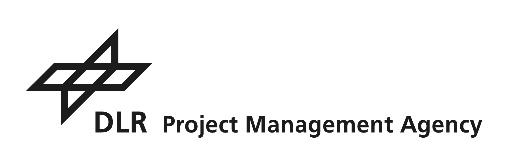 dlr_project_management_agency